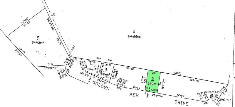 DIRT CHEAP Picture 1