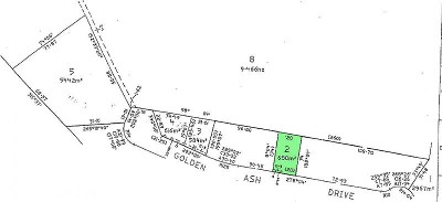 DIRT CHEAP Picture DIRT CHEAP Picture