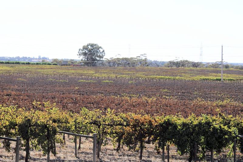 15 ACRES + BIG SHED Picture 3