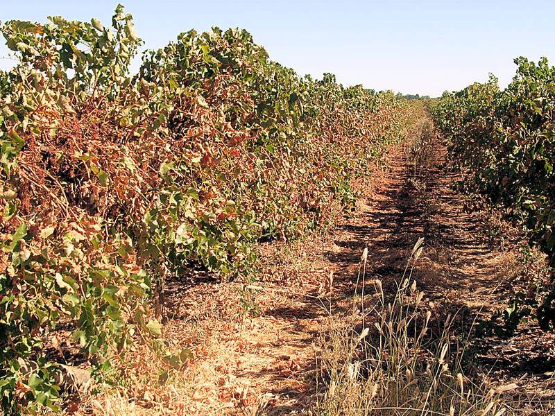 SHINE IN SUNNYCLIFFS Picture 1