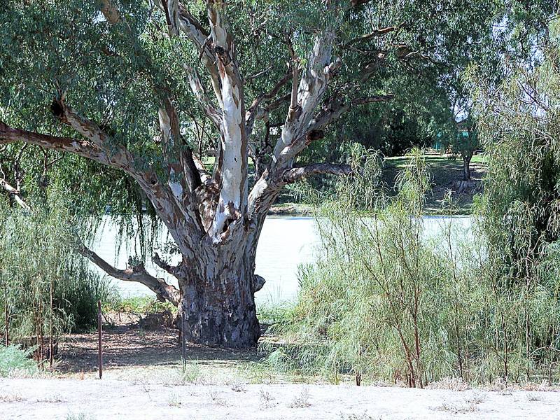 DIRECT RIVER FRONTAGE - TOWNHOUSE Picture 1