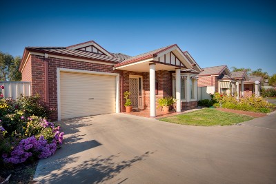 OFTEN SORT - RARELY FOUND! Picture OFTEN SORT - RARELY FOUND! Picture