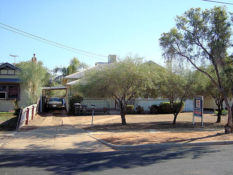 POTENTIAL PLUS Picture 2