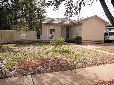 YOU'LL NOT FIND BETTER Picture