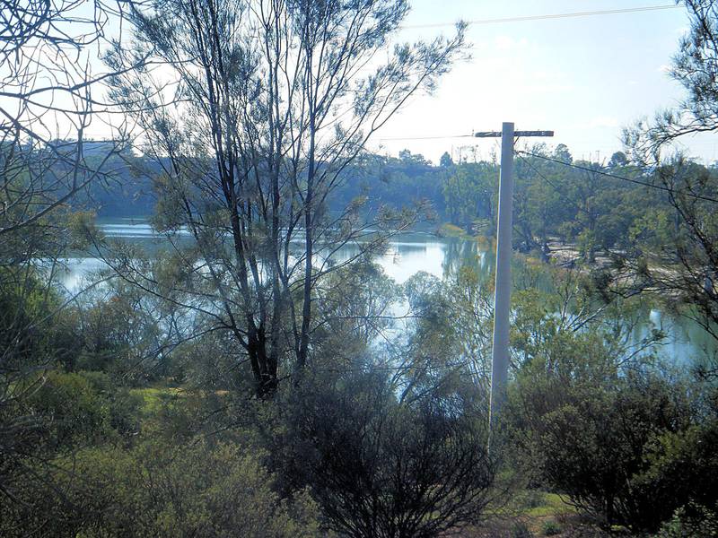 FIRST CLASS VINEYARD WITH PUMP ON THE RIVER Picture 3