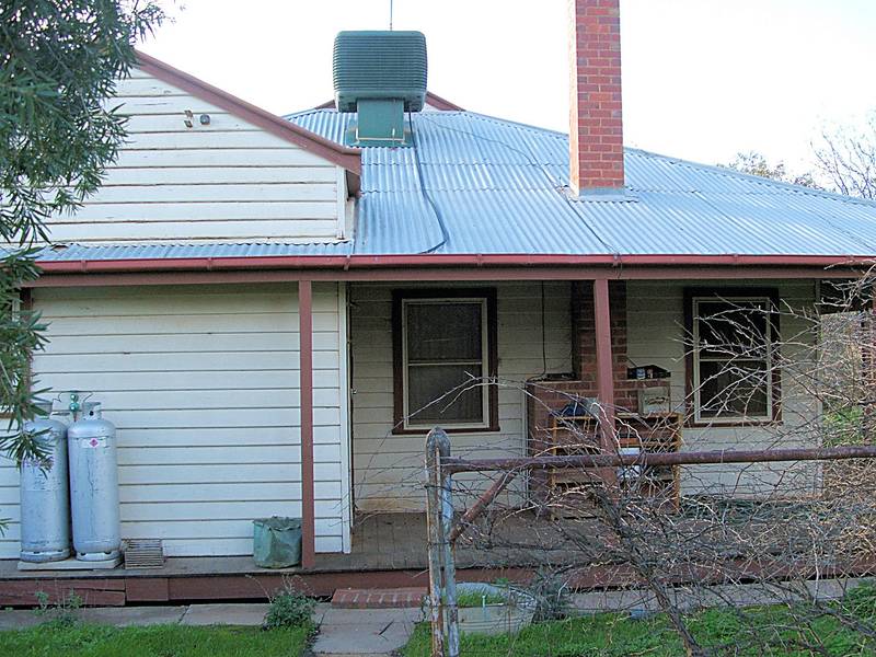 TREE CHANGE ANYONE? Picture 1