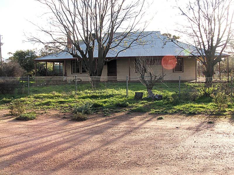 TREE CHANGE ANYONE? Picture 2