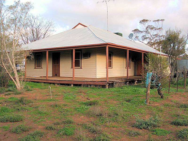 TREE CHANGE ANYONE? Picture 3