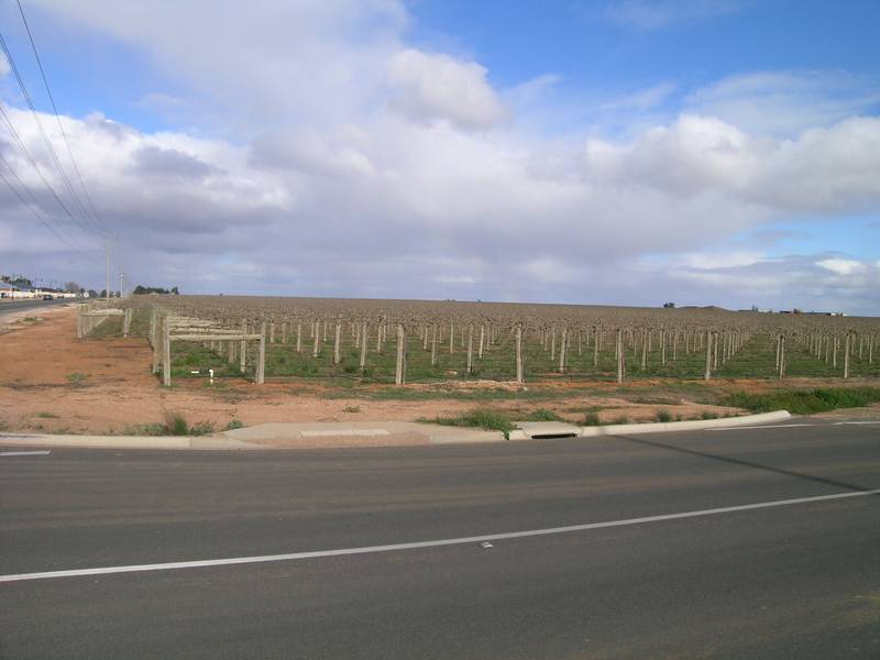 OUTSTANDING HORTICULTURAL & RESIDENTIAL DEVELOPMENT OPPORTUNITY Picture 2