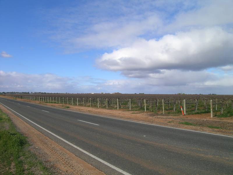 OUTSTANDING HORTICULTURAL & RESIDENTIAL DEVELOPMENT OPPORTUNITY Picture 3