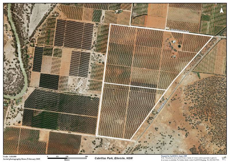 WINEGRAPE HOLDING Picture 1