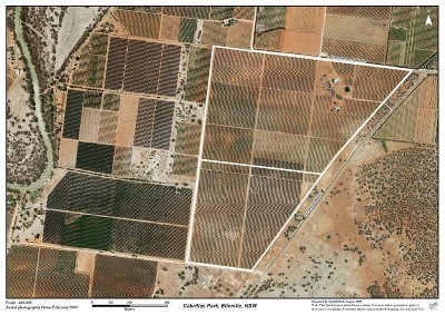 WINEGRAPE HOLDING Picture