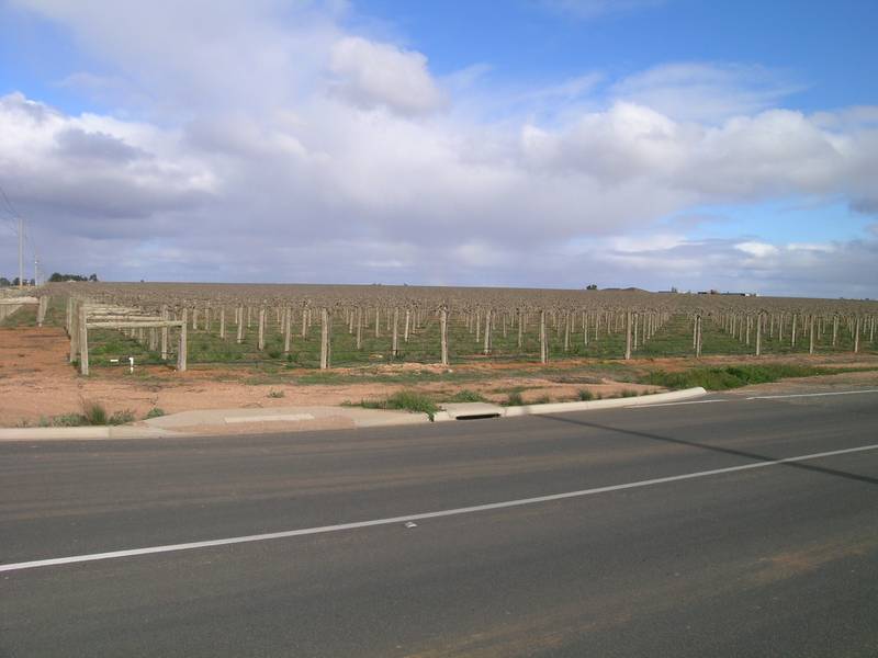 OUTSTANDING HORTICULTURAL & RESIDENTIAL DEVELOPMENT OPPORTUNITY Picture 2