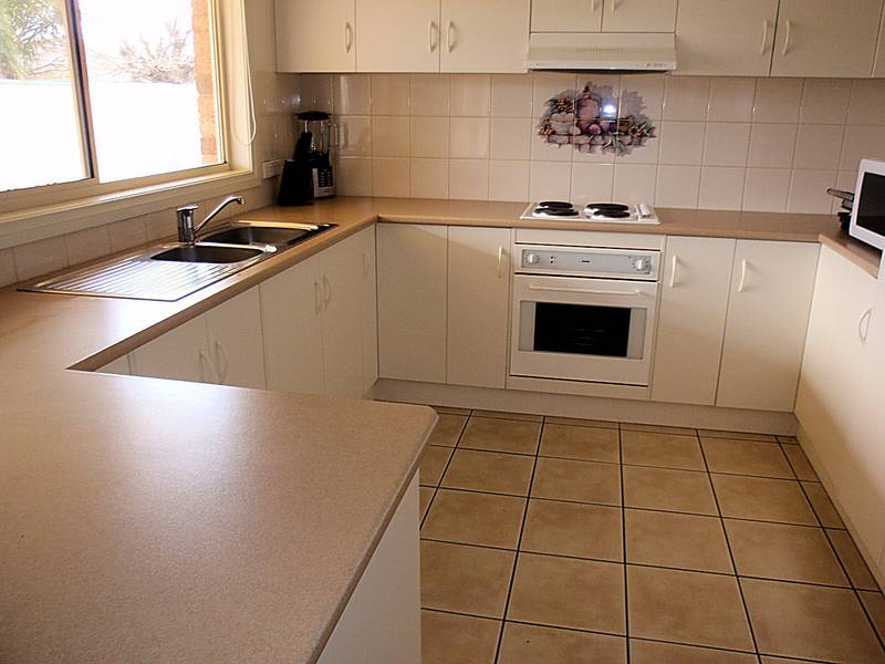 GREAT STARTER Picture 3