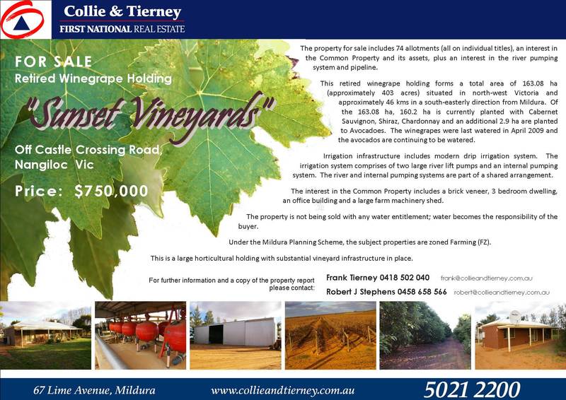 RETIRED WINEGRAPE HOLDING Picture 1