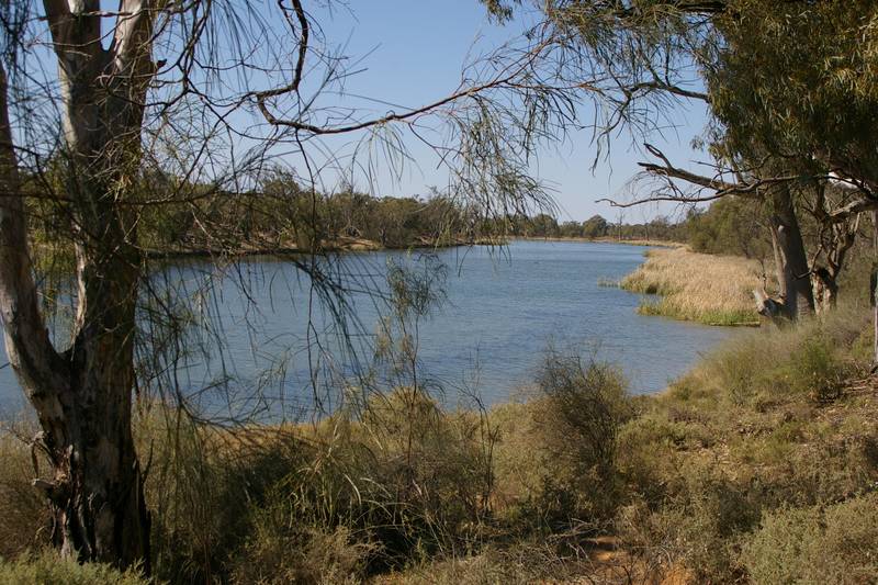 AWESOME HORTICULTURAL OPPORTUNITY & WATER FRONTAGE Picture 3