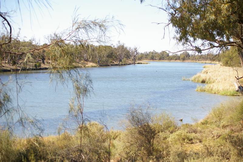 AWESOME HORTICULTURAL OPPORTUNITY & WATER FRONTAGE Picture 2