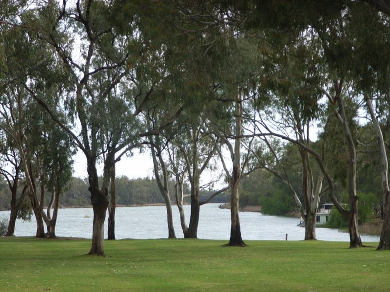 NEXT BEST THING Picture 1