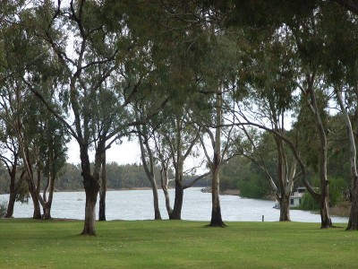 NEXT BEST THING Picture NEXT BEST THING Picture