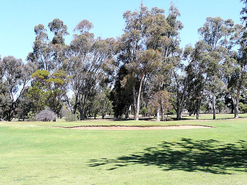 IMAGINE WAKING UP TO THIS! Picture 3