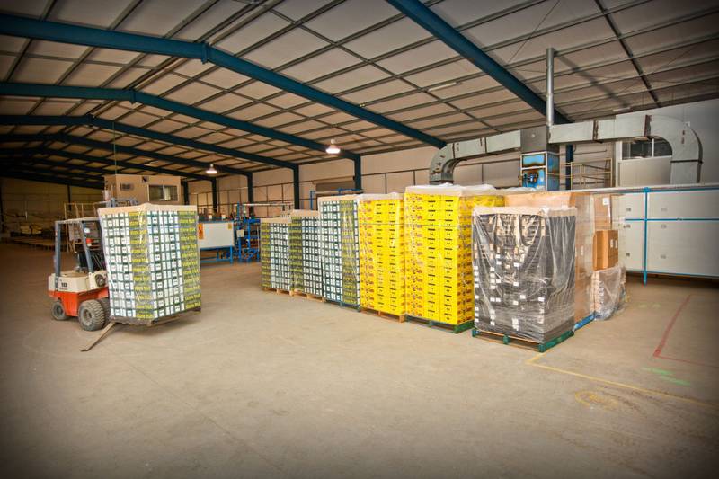 FIRST STONE FRUIT ON THE MARKET Picture 2