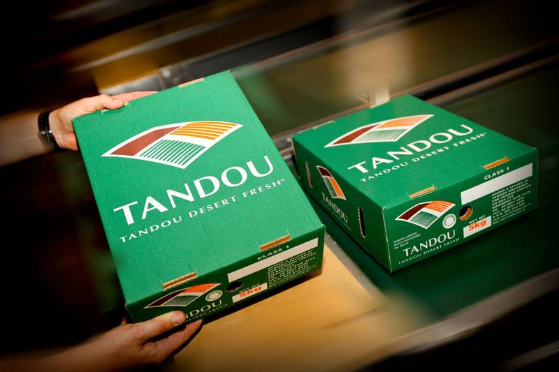 FIRST STONE FRUIT ON THE MARKET Picture 3