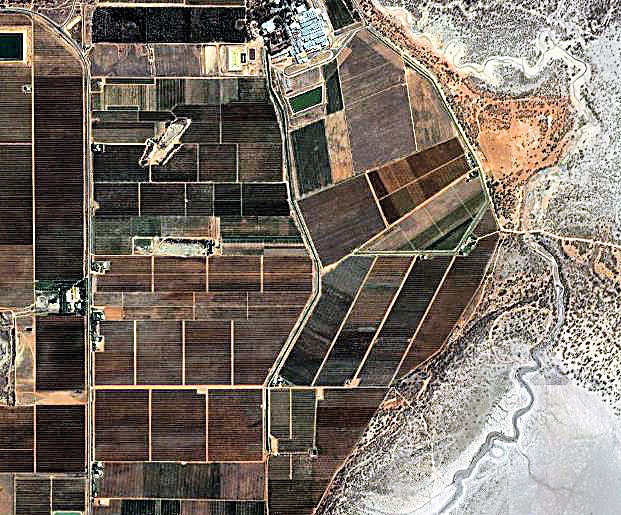 LARGE HORTICULTURAL HOLDING Picture 2