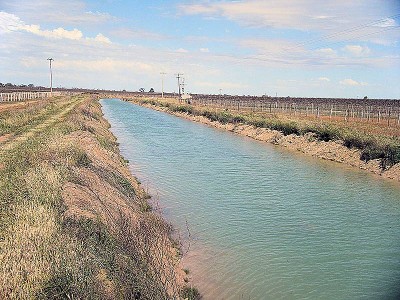 LARGE HORTICULTURAL HOLDING Picture