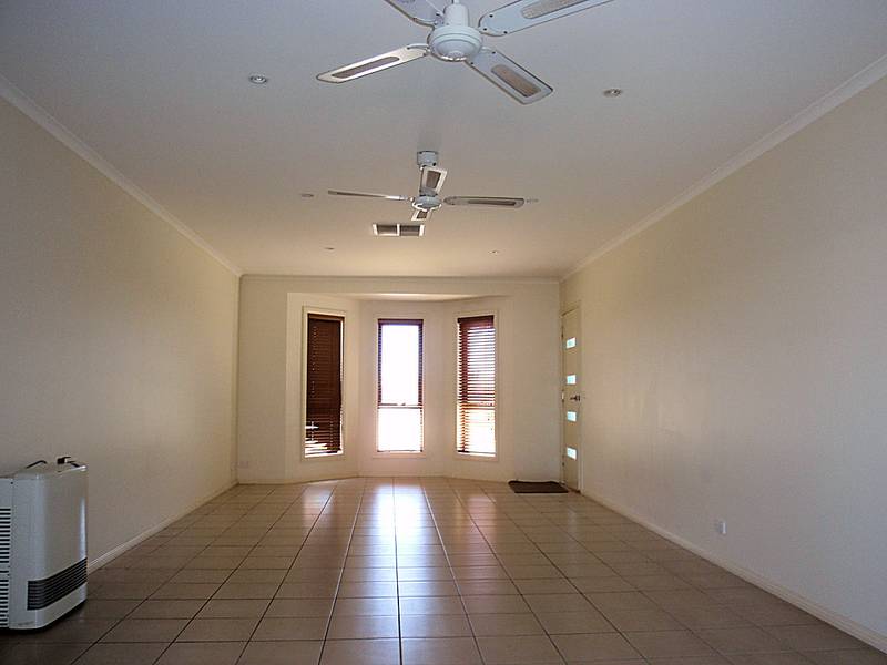 NEAT & COMPLETE! Picture 3