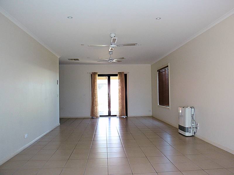 NEAT & COMPLETE! Picture 2