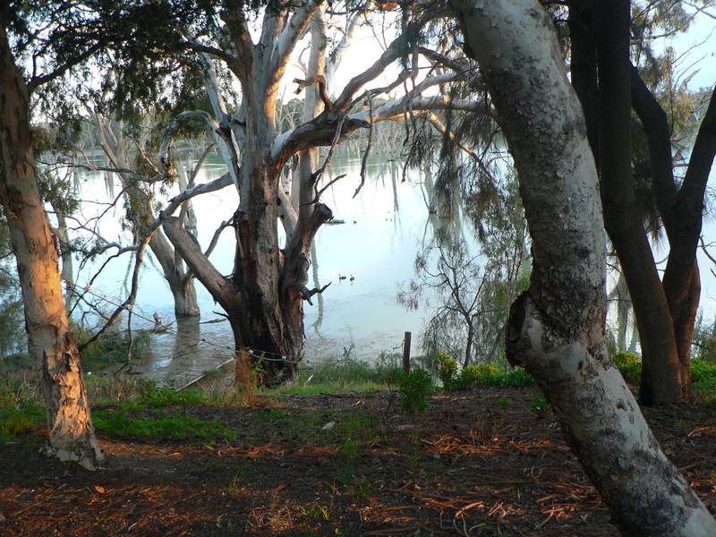 SPECTACULAR RIVER VIEWS Picture 3