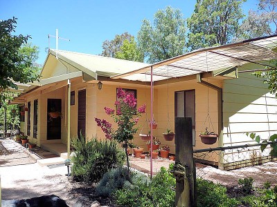 IT''S GOT THE LIFESTYLE FACTOR Picture