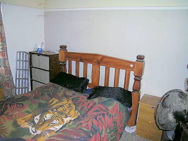 ATTENTION RENOVATORS Picture 2