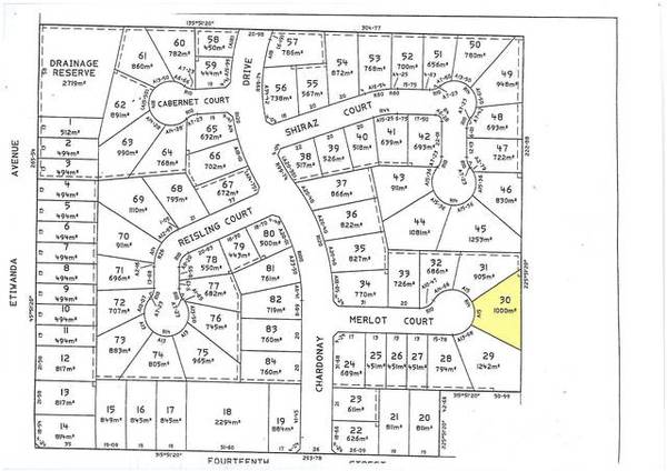 THE VENICE IN VINTAGE Picture 3