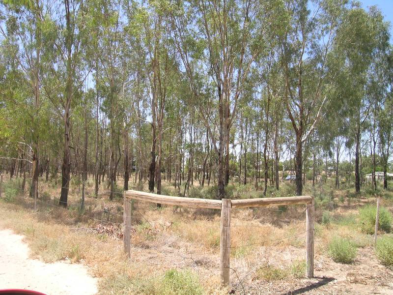 WALKING DISTANCE TO THE MURRAY RIVER Picture 3