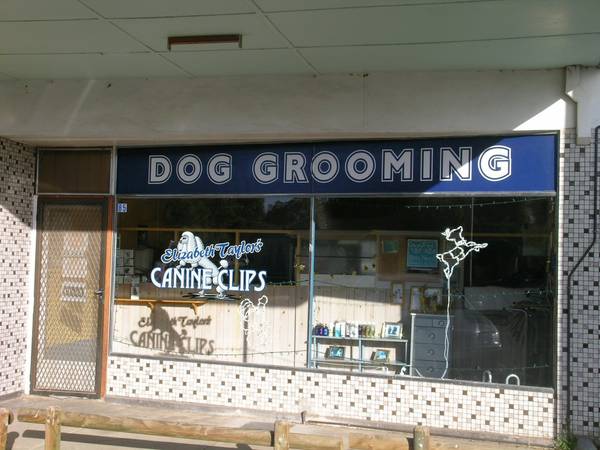 REASONABLE RENTAL Picture 3