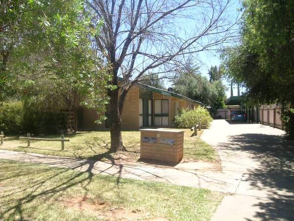 SOLID INVESTMENT Picture 2