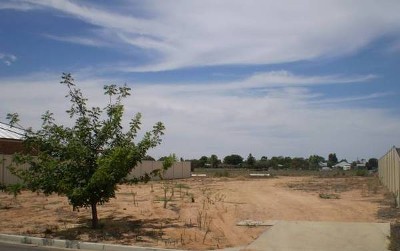 BUILD YOUR DREAM FAMILY HOME IN FEDERATION ESTATE Picture BUILD YOUR DREAM FAMILY HOME IN FEDERATION ESTATE Picture