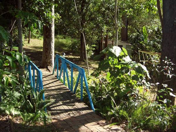 2 and 1/2 Acres Picture 3