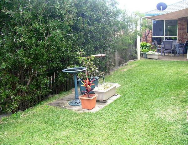 Modern and Immaculate! Picture 2