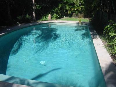 COOL OFF IN THE POOL Picture