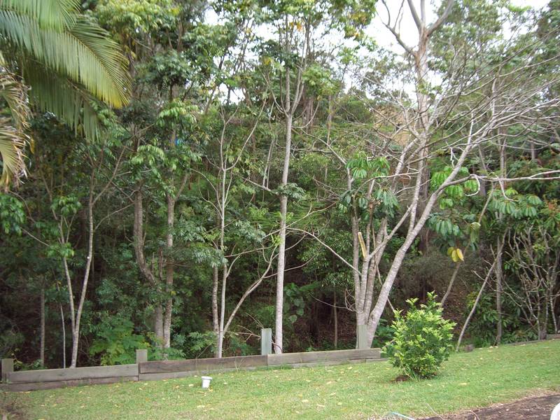 GREAT 3 BEDROOM FAMILY HOME Picture 2