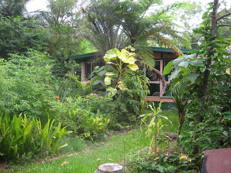 A Great Starter Picture 2