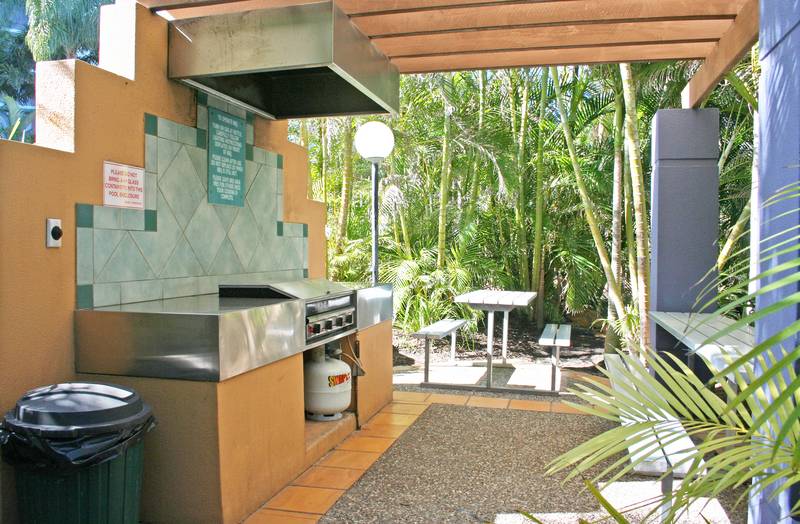 LIVE THE DREAM Picture 3