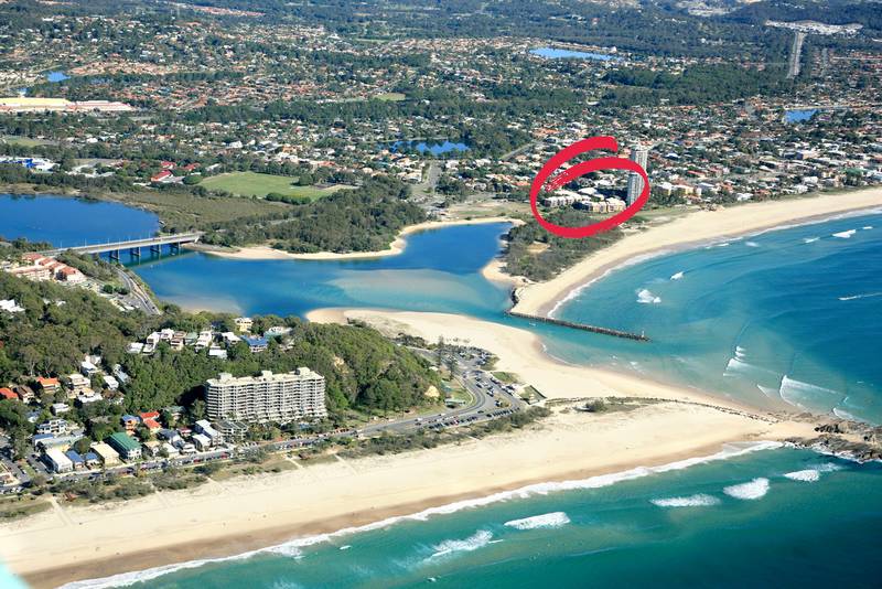 LIVE THE DREAM Picture 2