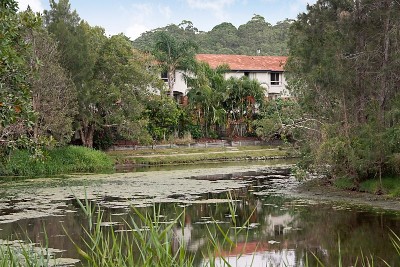Absolute Lakefront Townhouse ~ Watch the Wildlife! Smell the Surf! Only $339,000 Negotiable! Picture