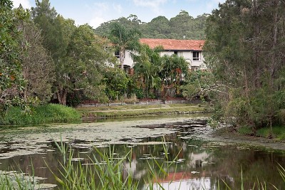 Absolute Lakefront Townhouse ~ Watch the Wildlife! Smell the Surf! Only $339,000 Negotiable! Picture Absolute Lakefront Townhouse ~ Watch the Wildlife! Smell the Surf! Only $339,000 Negotiable! Picture