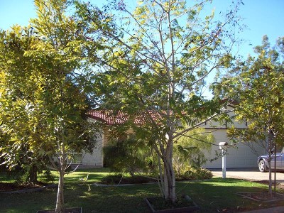 LAKEWOODS ESTATE Picture