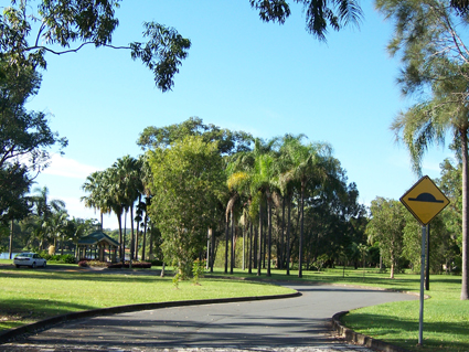 Heart of Palm Beach Picture 2