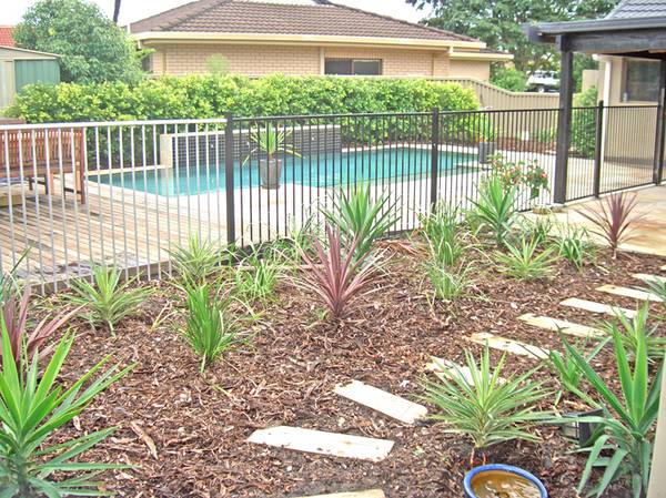 A FAMILY SPECIAL! Picture 3